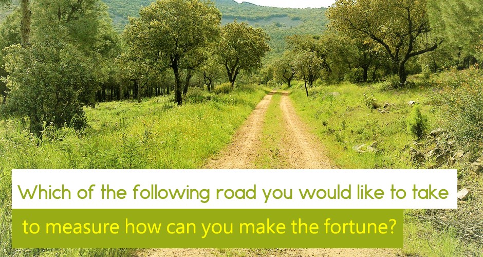 Which of the following road you would like to take to measure how can you make the fortune?